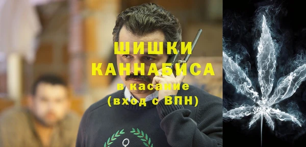 гашик Нестеровская