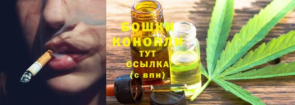 сатива Наволоки