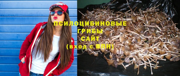 MESCALINE Надым