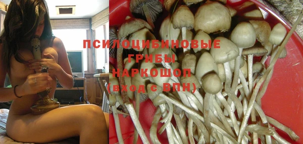 ГАЛЛЮЦИНОГЕННЫЕ ГРИБЫ Домодедово