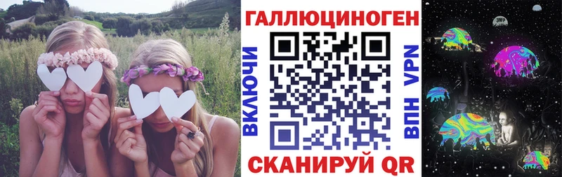 Галлюциногенные грибы Psilocybine cubensis  где купить наркотик  Губаха 