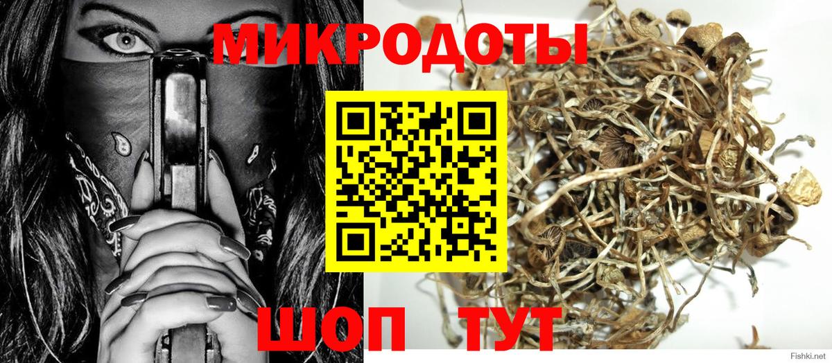 Губаха  Галлюциногенные грибы Psilocybine cubensis  Вход с VPN 